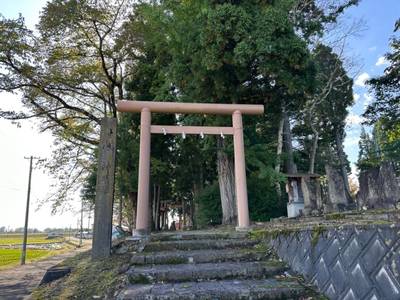 宮林神明社,見どころ,を神
