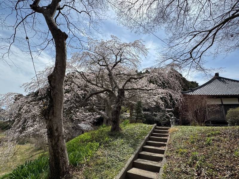 杉社神社,福島県いわき市鹿島町下矢田字大作140