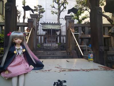 柳里神社,見どころ,流離う風