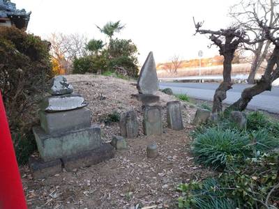 長良神社  (海老瀬2599),見どころ,おうぎ