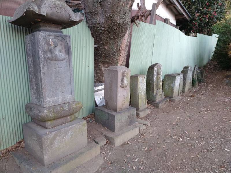 長良神社  (海老瀬2599),群馬県邑楽郡板倉町海老瀬2599