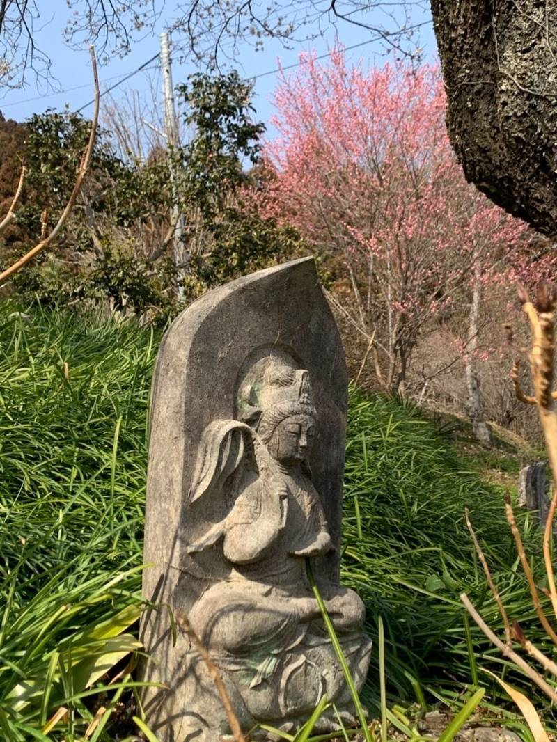 龍春寺,福島県いわき市瀬戸町龍之沢９