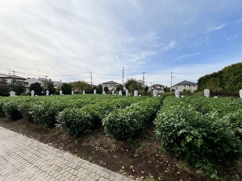 普門院,埼玉県所沢市上新井189