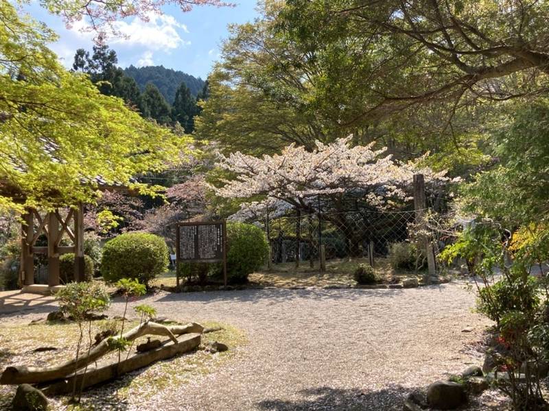 長徳寺,三重県津市芸濃町雲林院107