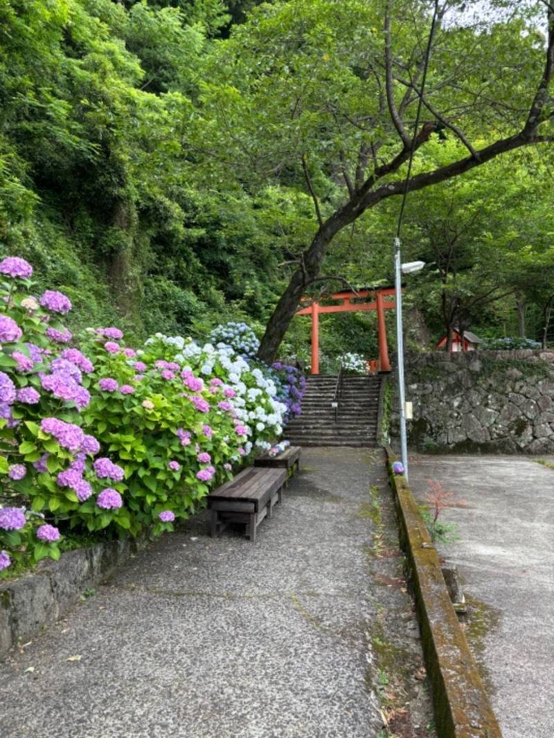 渡御前社,和歌山県新宮市新宮御渡町619