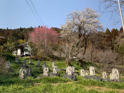 龍春寺,見どころ,GT23