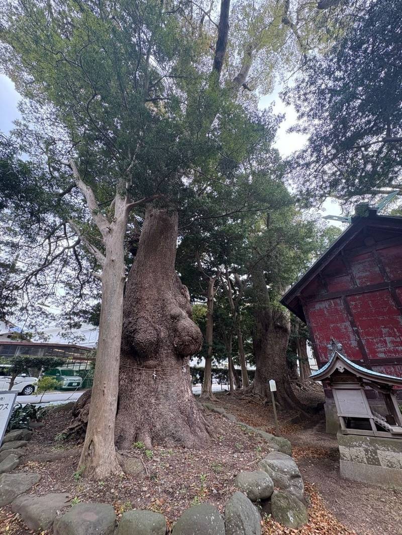 部田神社,静岡県沼津市戸田1585