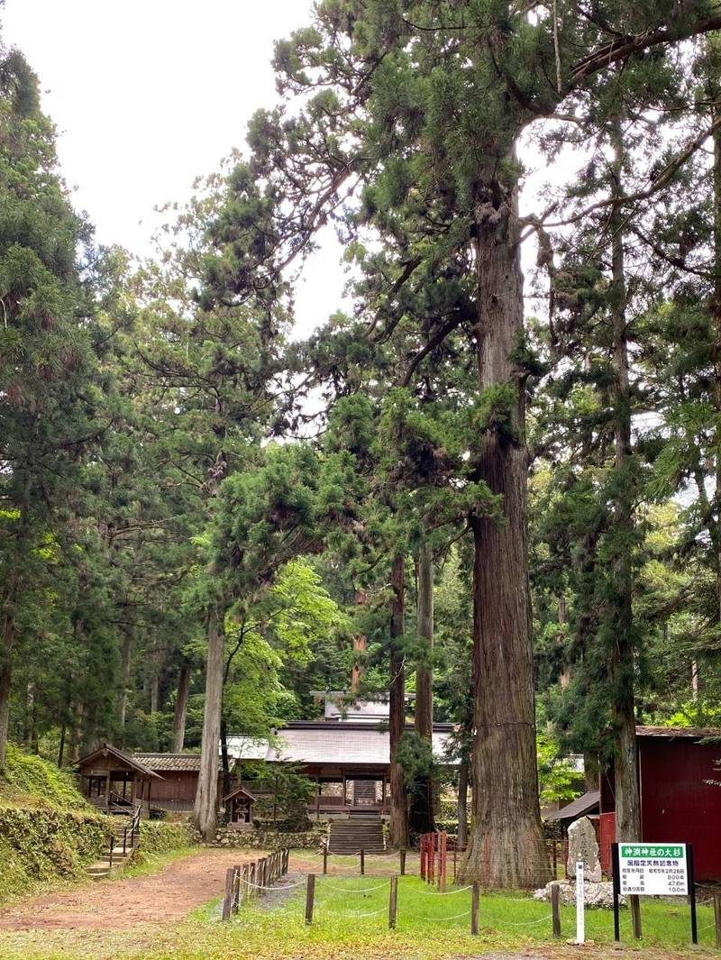 神渕神社,岐阜県加茂郡七宗町神渕4168-1
