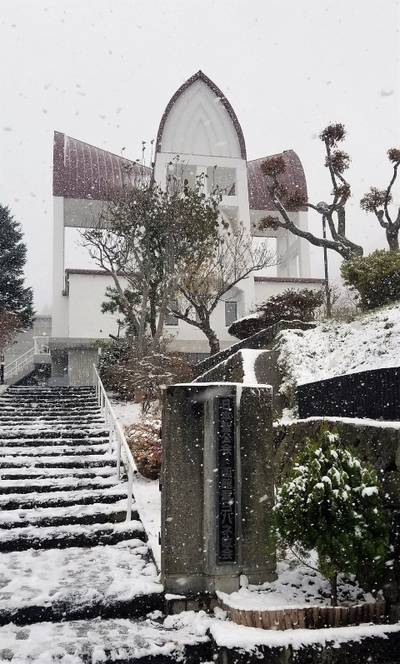 函館聖ヨハネ教会,見どころ,ボブ