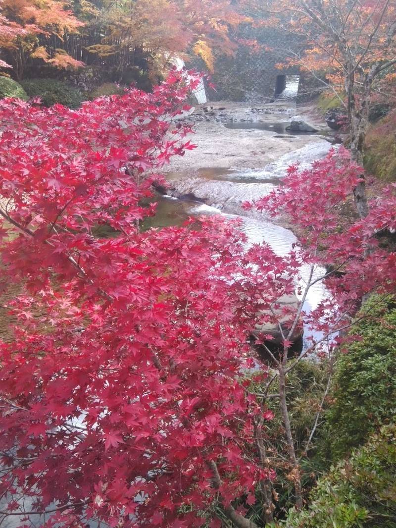 英彦山大権現 湯の谷別院,福岡県田川郡添田町大字落合