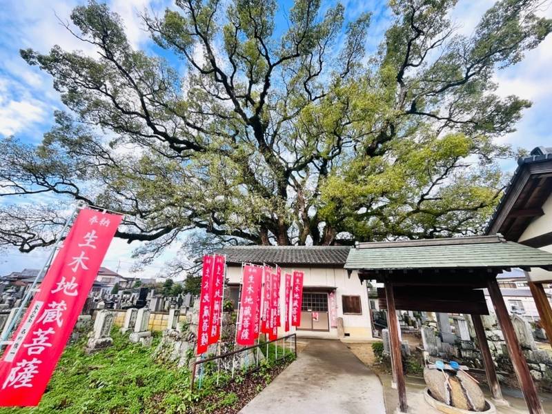 生木地蔵堂,香川県観音寺市大野原町大野原1208