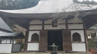 正法寺,見どころ,にゃーこ