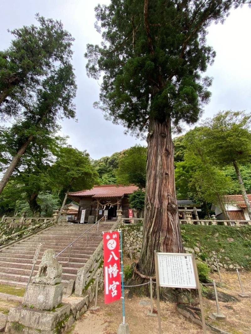 船路八幡宮,山口県山口市徳地船路2617番地