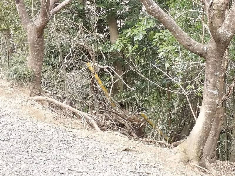蚕霊神社,愛知県豊田市日面町下ノ田534-1