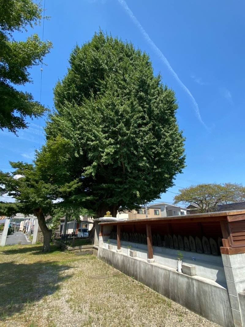 宗英寺,三重県亀山市南野町８１９番地