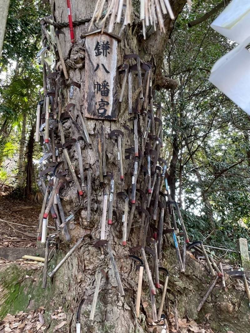 丹生酒殿神社 鎌八幡宮 見どころ 伊都郡かつらぎ町 Omairi おまいり 丹生酒殿神社 鎌八幡宮 見どころ 伊都郡かつらぎ町 Omairi おまいり