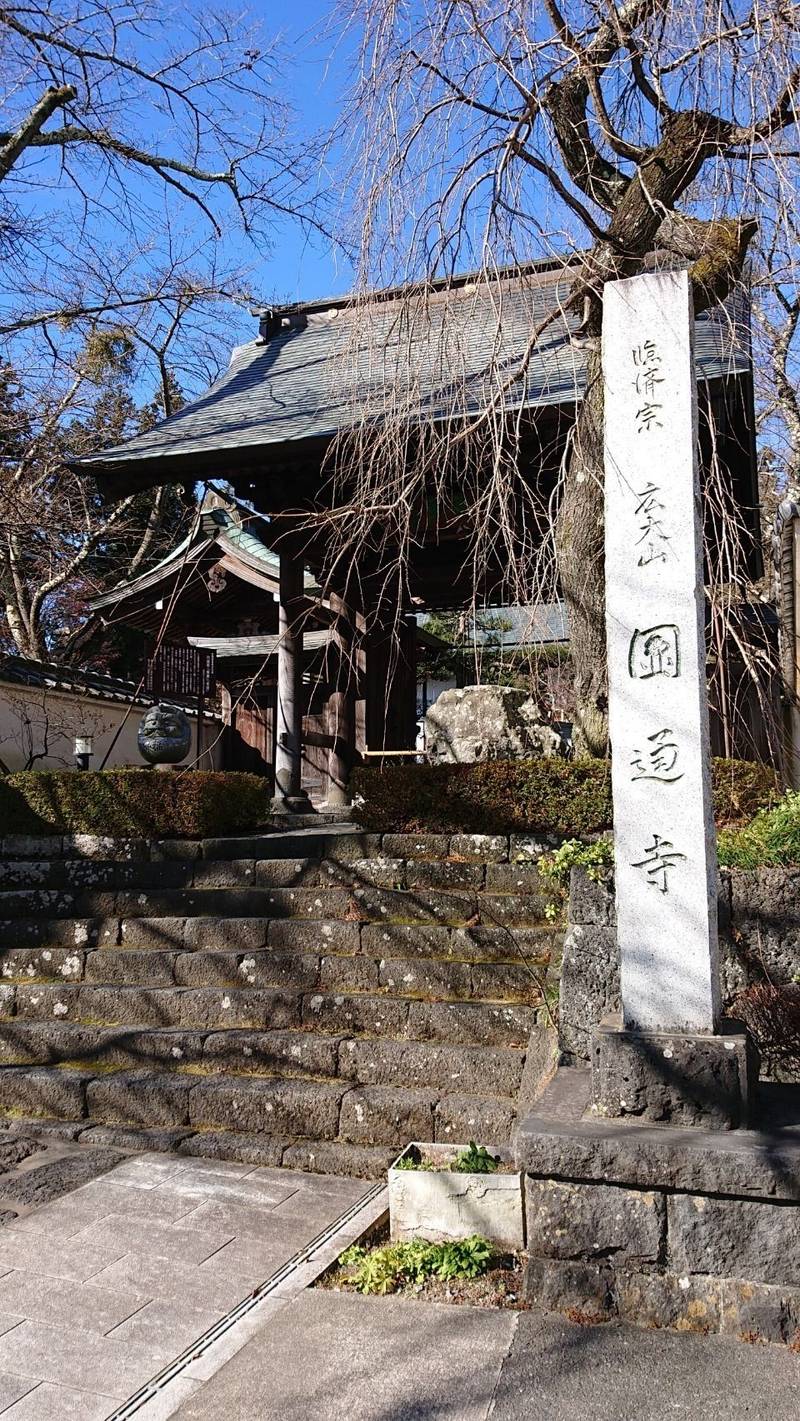 円通寺    (圓通寺),山梨県南都留郡富士河口湖町船津３９３２