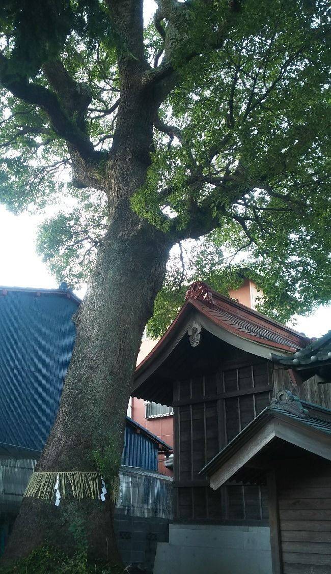 鎌田八幡神社    (駿河区),静岡県静岡市駿河区鎌田382