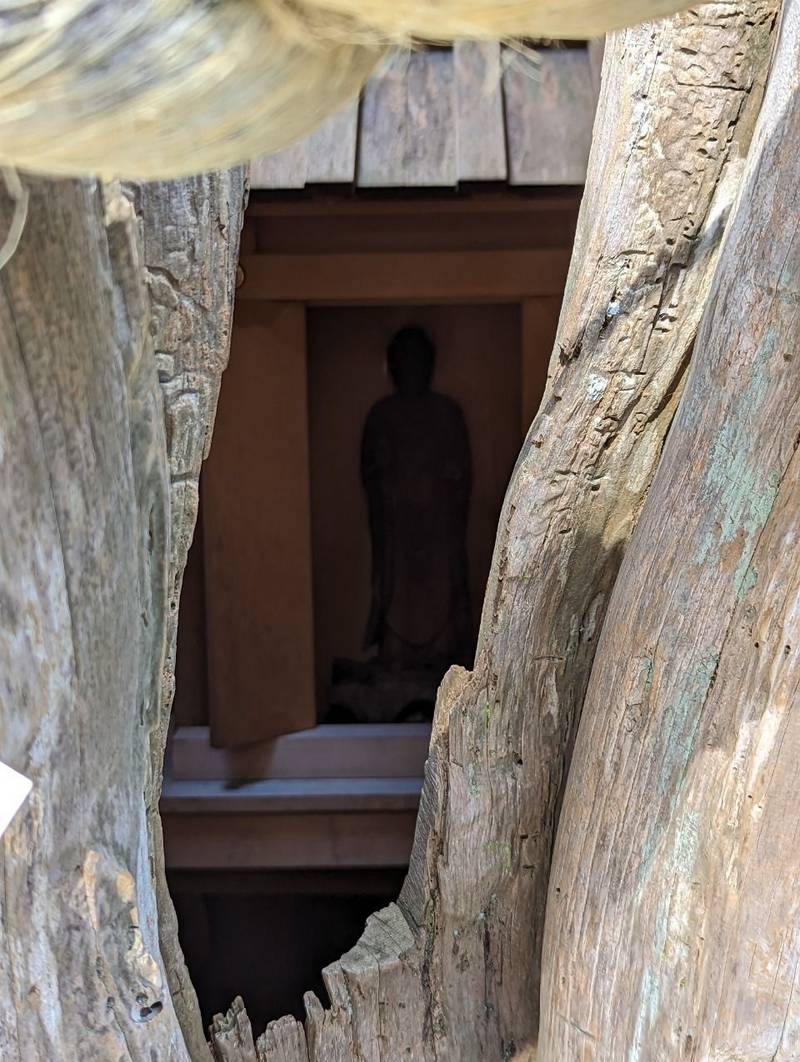 伊古奈比咩命神社 (白濱神社) 御朱印帳 下田市/静岡県 Omairi(おまいり)