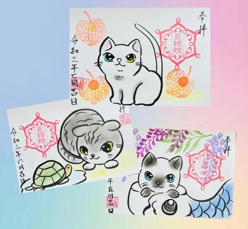 正授院 御朱印 浜松市 静岡県 Omairi おまいり 正授院 御朱印 浜松市 静岡県 Omairi おまいり