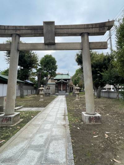 大山祇神社,見どころ,you