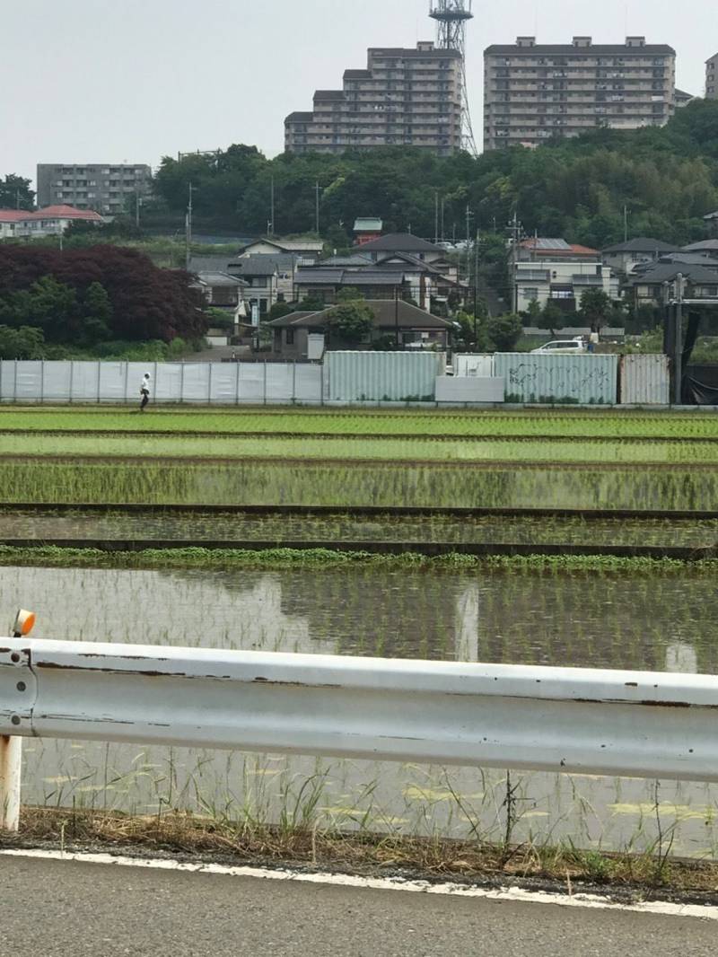 中川稲荷神社,神奈川県横浜市都筑区中川4丁目14