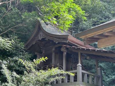 豊﨑神社,見どころ,小龍