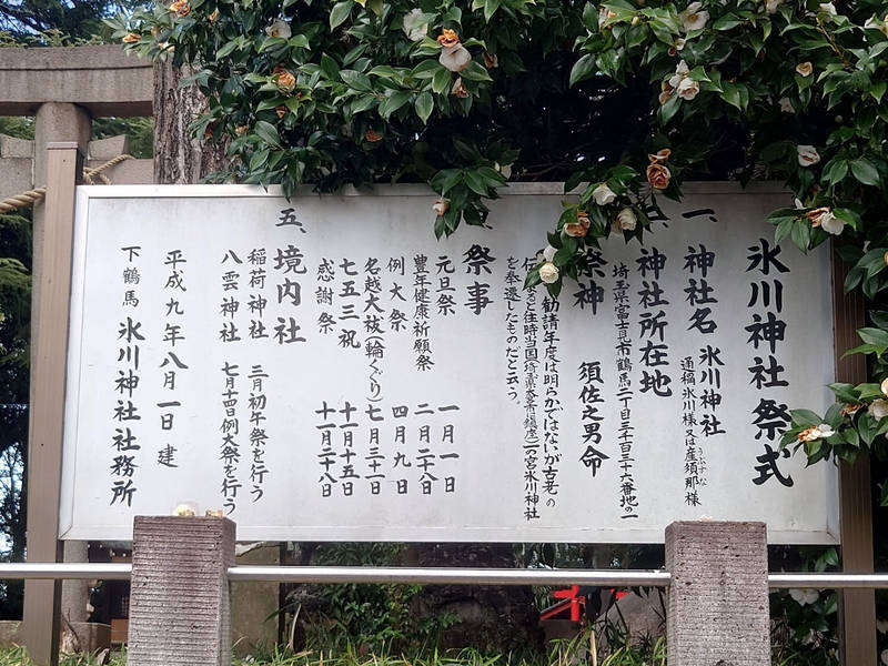 下鶴馬氷川神社,埼玉県富士見市鶴馬２丁目１−７２