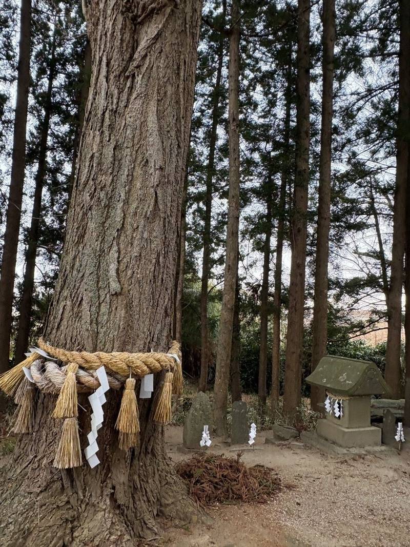 加賀野八幡神社,宮城県登米市中田町石森舘122
