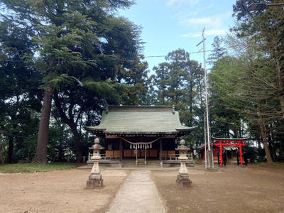 下鶴馬氷川神社,見どころ,氷川沙々貴党