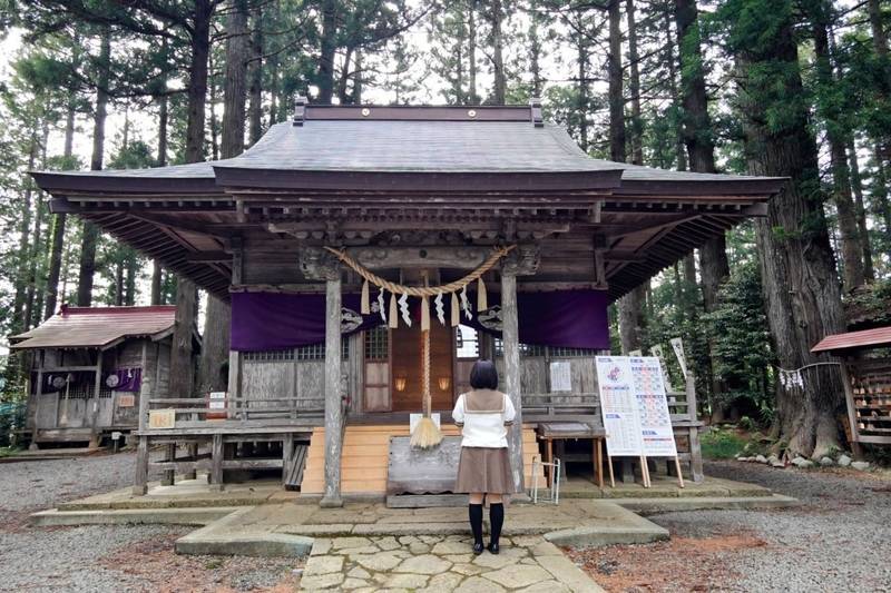 坪沼八幡神社,宮城県仙台市太白区坪沼舘前東69
