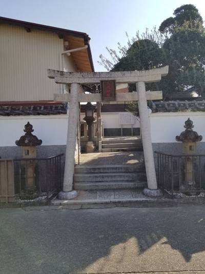八坂神社,見どころ,りゅうしょうま