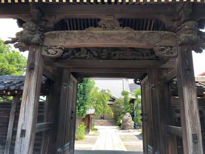 円真寺,見どころ,you