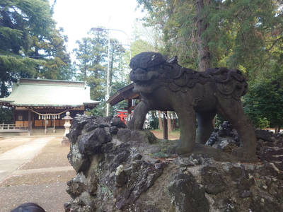 下鶴馬氷川神社,見どころ,氷川沙々貴党