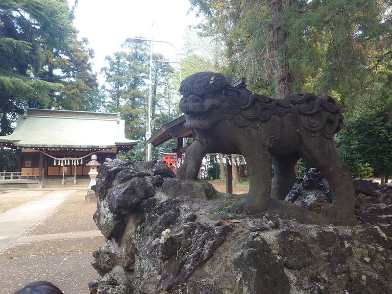 下鶴馬氷川神社,埼玉県富士見市鶴馬２丁目１−７２