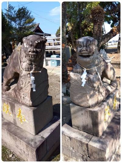 龍神社  (白石町福富),見どころ,里