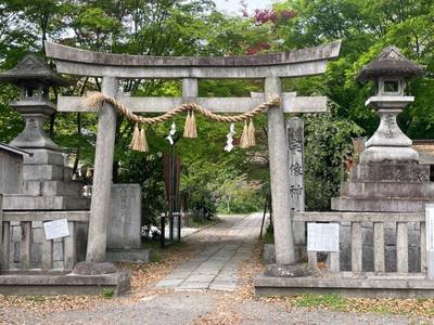 少将井神社,見どころ,tackto