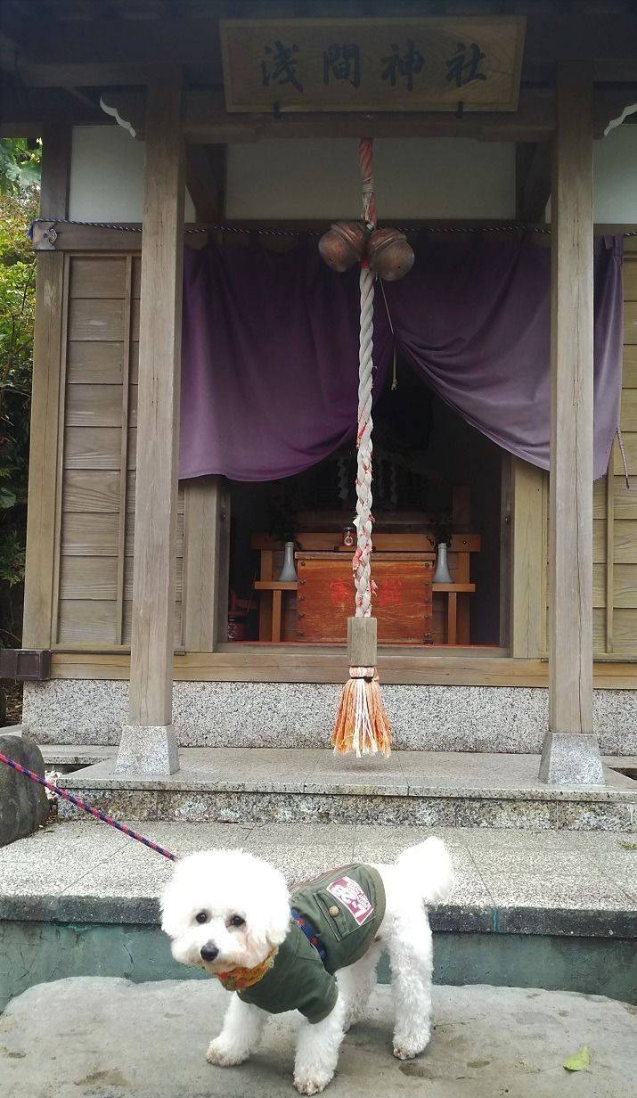 浅間神社 アニマルキングダム内 賀茂郡東伊 Omairi おまいり