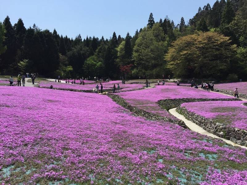 永澤寺,兵庫県三田市永沢寺210