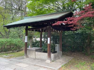 少将井神社,見どころ,tackto