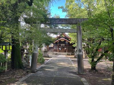 闇之森八幡社,見どころ,たまねぎ