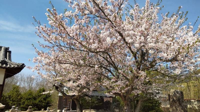 徳玉神社,香川県丸亀市本島町笠島