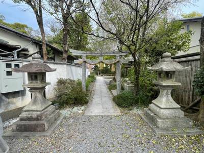 少将井神社,見どころ,tackto