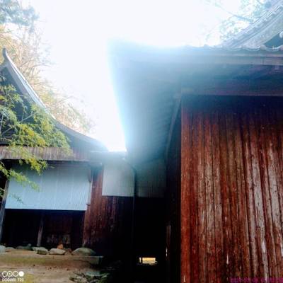 高木神社,見どころ,あまてらす王海守