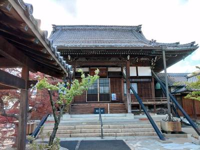 蓮国寺,見どころ,ちゅら君