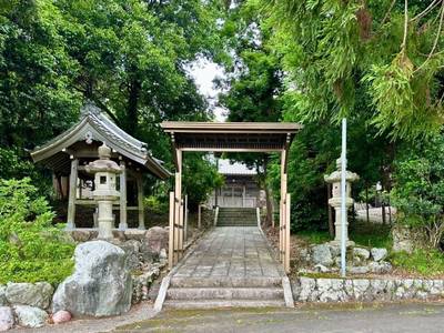 平野神社,見どころ,を神