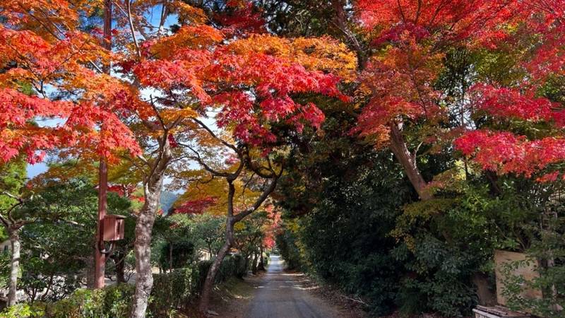 嵯峨小倉陵　後龜山天皇,京都府京都市右京区嵯峨鳥居本小坂町