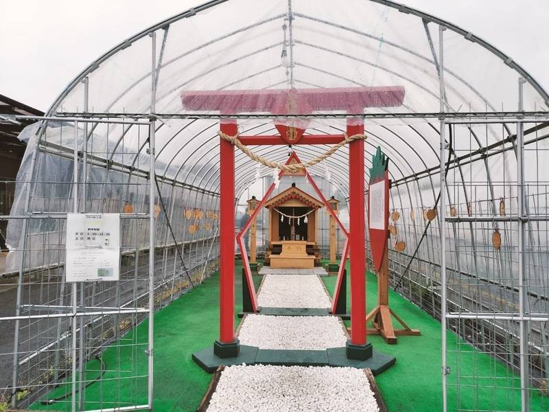 苺神社,栃木県鹿沼市酒野谷