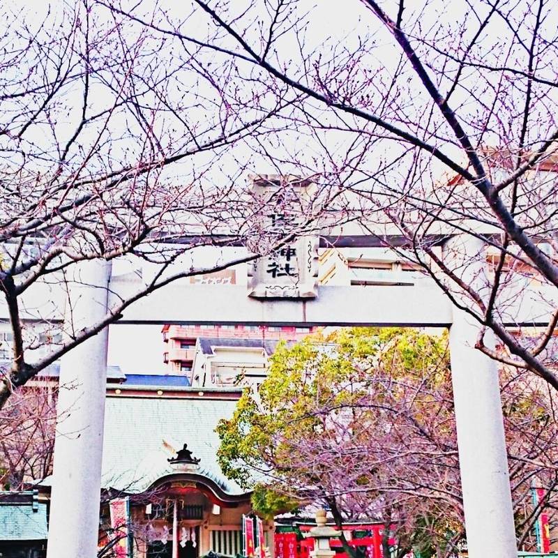 素佐男神社,兵庫県神戸市灘区岸地通2-1-8