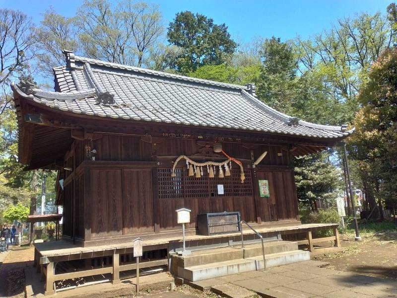 大井氷川神社 見どころ ふじみ野市/埼玉県 Omairi(おまいり)